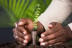 Financial Protection Strategy